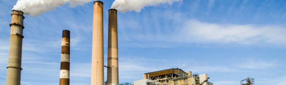 pexels pixabay 247763